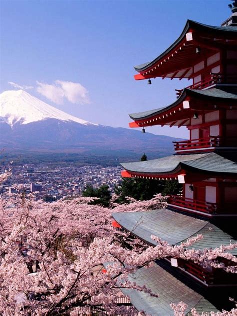 Japan View 的图像结果