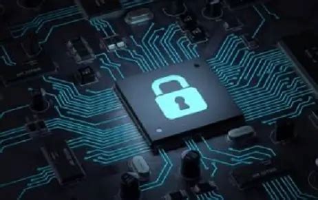 Integrated Data Protection 的图像结果