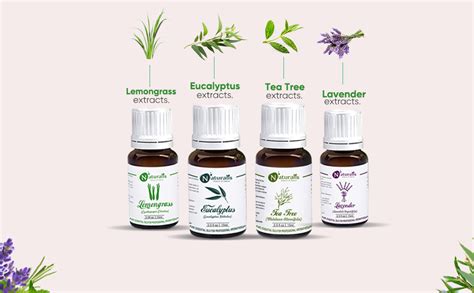 Buy Naturalis 15ml Essential Oil Gift Pack Of 4 Multipurpose (Lavender ...