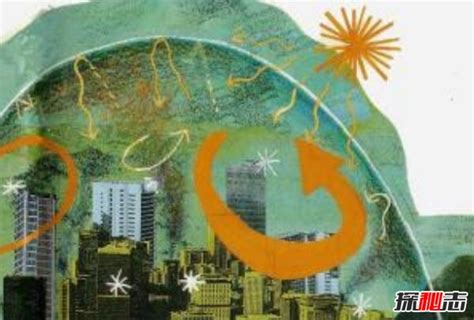 Image result for Prototype Example Project Environmental Science