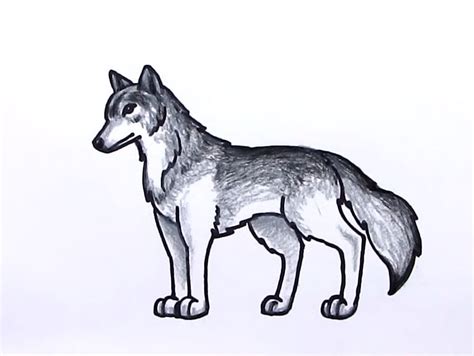 How To Draw a Wolf: 10 Easy Drawing Projects