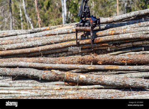 Logging 的图像结果