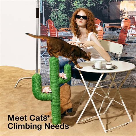 VETRESKA Cactus Cat Tree with Soft Hammock & Sisal India | Ubuy