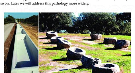 Image result for Infeed Long Log Strander