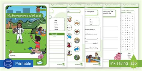Grade 3 Phonics: Homophones Workbook