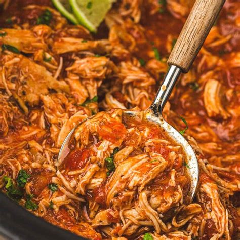3-Ingredient Slow Cooker Salsa Chicken - The Peasant's Daughter