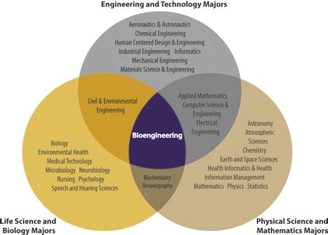 Image result for Introduction to Bioengineering