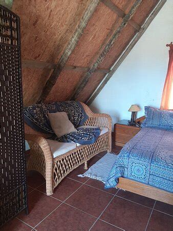 CABANAS LAS CARACOLAS (Arachania) - Specialty Inn Reviews, Photos, Rate ...