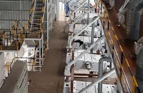 Moong Dal Processing Machine