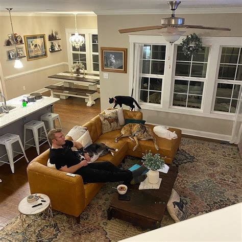 Poly and Bark Review - Must Read This Before Buying