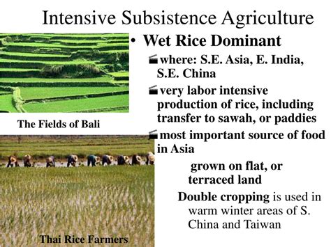 PPT - Agriculture in Developing Regions: Methods, Challenges, and ...