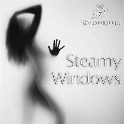 Steamy Windows Tutorial 的图像结果