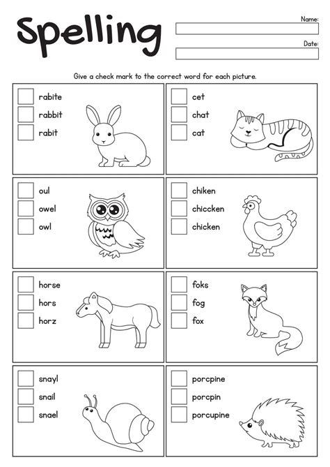 Spelling Practice Worksheets 1st grade – Free download and print for you.