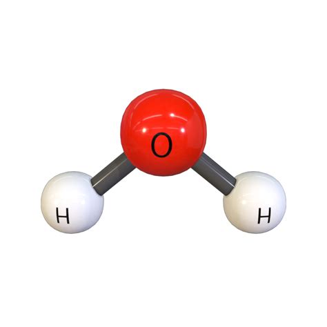 Water Molecule Model