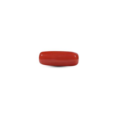 Red Coral (Moonga) - 6 Carat - Natural & Certified | Pramogh
