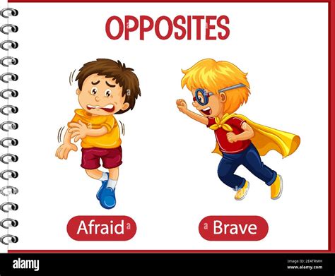 Opposite words with afraid and brave illustration Stock Vector Image ...