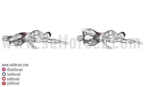 Image result for Clam Additonal Exercises