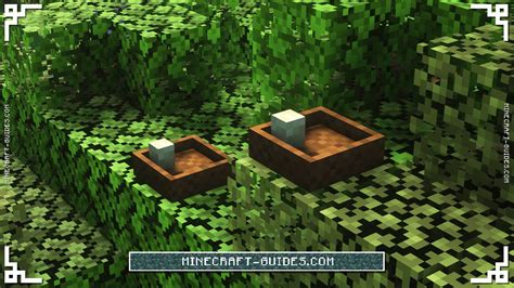Image result for Minecraft Bird Mod