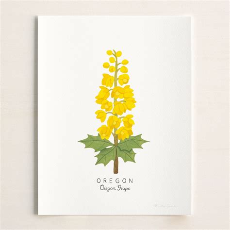 Oregon State Flower Print | CUSTOMIZABLE | Oregon State Flower Art, Oregon Grape Art Print ...