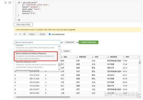 Bamboolib for Python 的图像结果