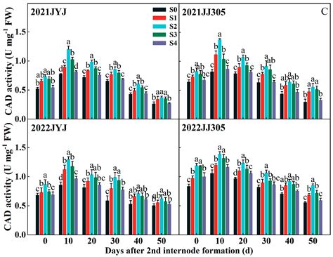 Paclobutrazol Enhanced Stem Lodging Resistance of Direct-Seeded Rice by ...