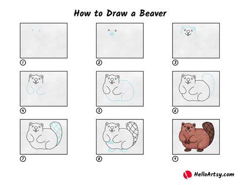 How to Draw a Beaver - HelloArtsy
