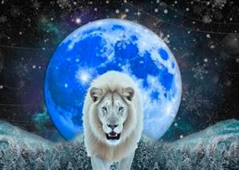 Full Snow Moon in Leo Meditation & Release, 1240 Thomasville Road, #102 ...