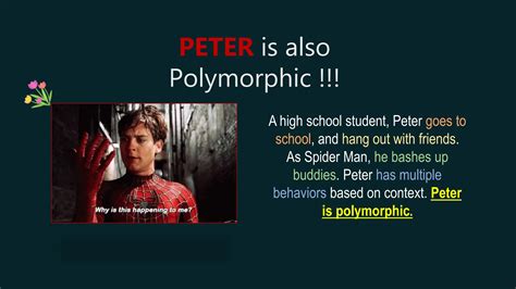 Image result for Polymorphism in Programming Example Program