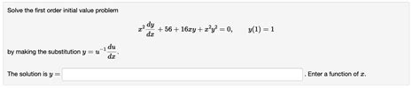 Image result for First Order Initial Value Problem