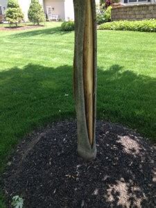 Image result for Easy Way Splitting Tree Trunks
