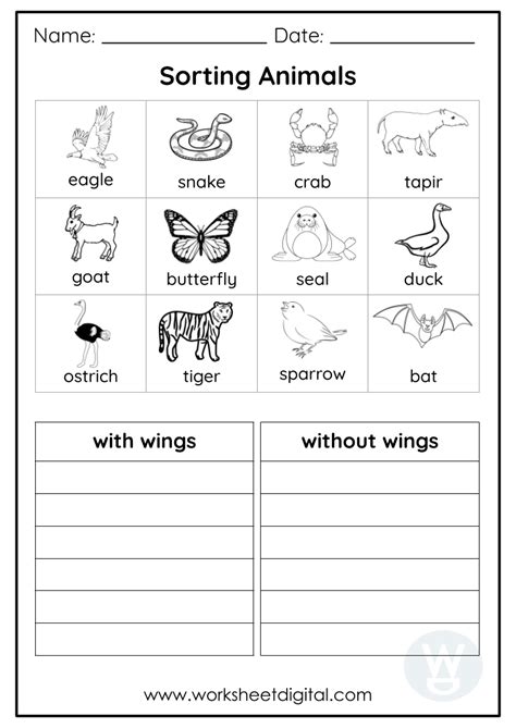 Image result for Printable Science Worksheets Grade 2