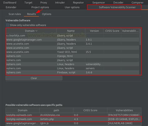 Burp Suite for Pentester: Software Vulnerability Scanner & Retire.js