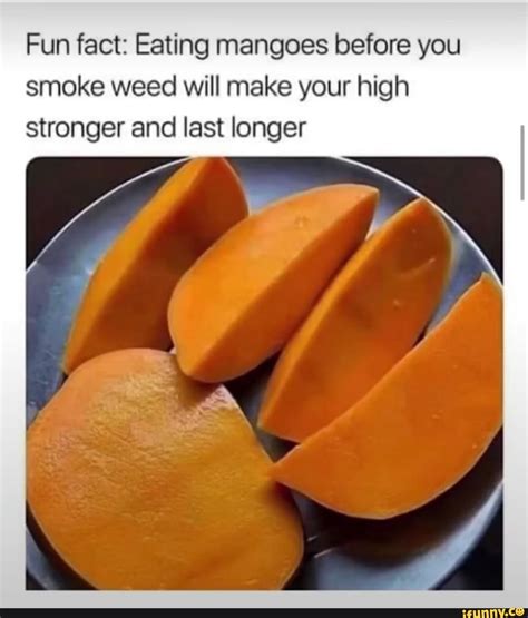 Fun fact: Eating mangoes before you smoke weed will make your high ...
