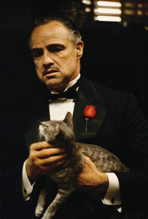 Marlon Brando The Godfather, Godfather Movie, Marlon Brando Eye Roll ...
