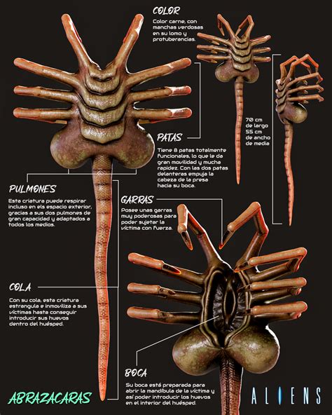 Alien Earth Facehuggers 的图像结果