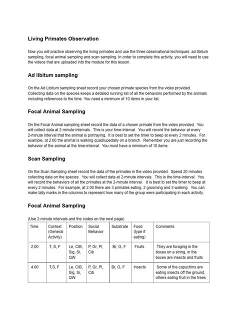 Observation 的图像结果