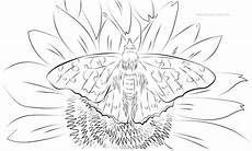 malvorlagen blumen pdf ausmalbilder schmetterling mit blume neu malvorlagen malvorlagen blumen pdf ausmalbilder schmetterling mit blume neu malvorlagen