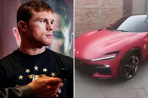 William Scull News - Latest William Scull News, Stats & Updates