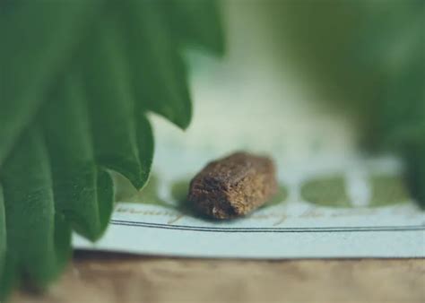 Image result for Hash THC