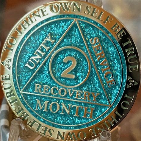 Image result for Addiction Recovery Chip