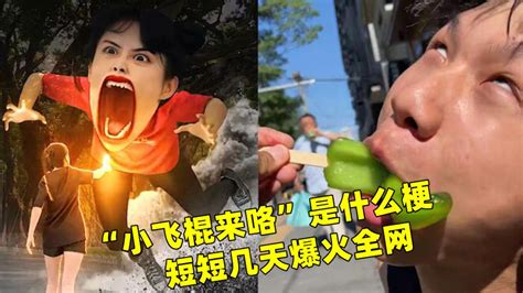 【长曲棍球之进攻篇----美洲记忆摄影图片】美国纽约州长岛生活摄影_太平洋电脑网摄影部落