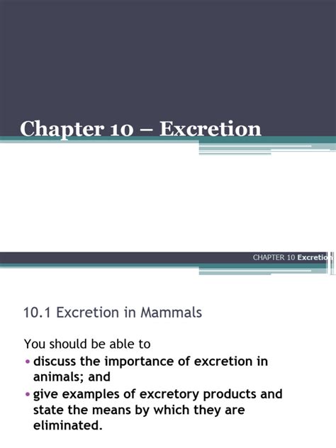 Image result for Chapter 12 Excretion