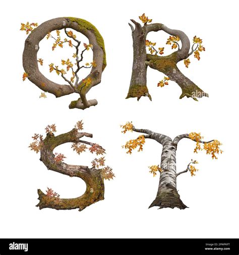 3D illustration of old autumn tree alphabet - letters Q-T Stock Photo - Alamy