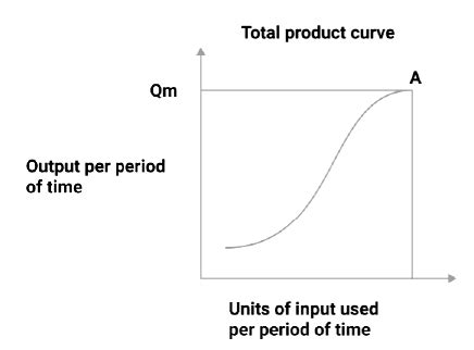 Production and Costs Class 12 Economics