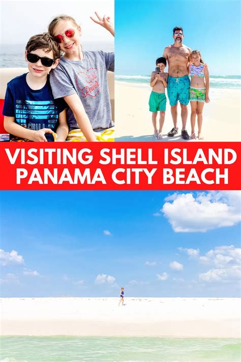 Image result for Shell Hunting Shell Island Panama