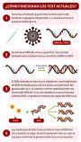En qué consiste la prueba PCR y cuál es su fiabilidad para detectar la ...