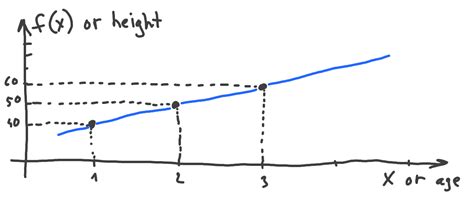 What is a function derivative and how to optimize functions - DataChild