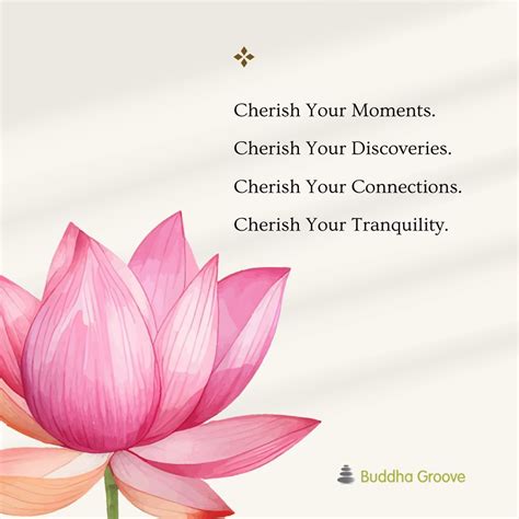 Cherishing the moments, discoveries, connections, and tranquility in ...