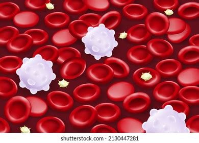 Image result for Monocyte Under Microscope