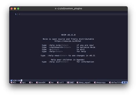 Customize Nvim Using Lua in Windowd 的图像结果